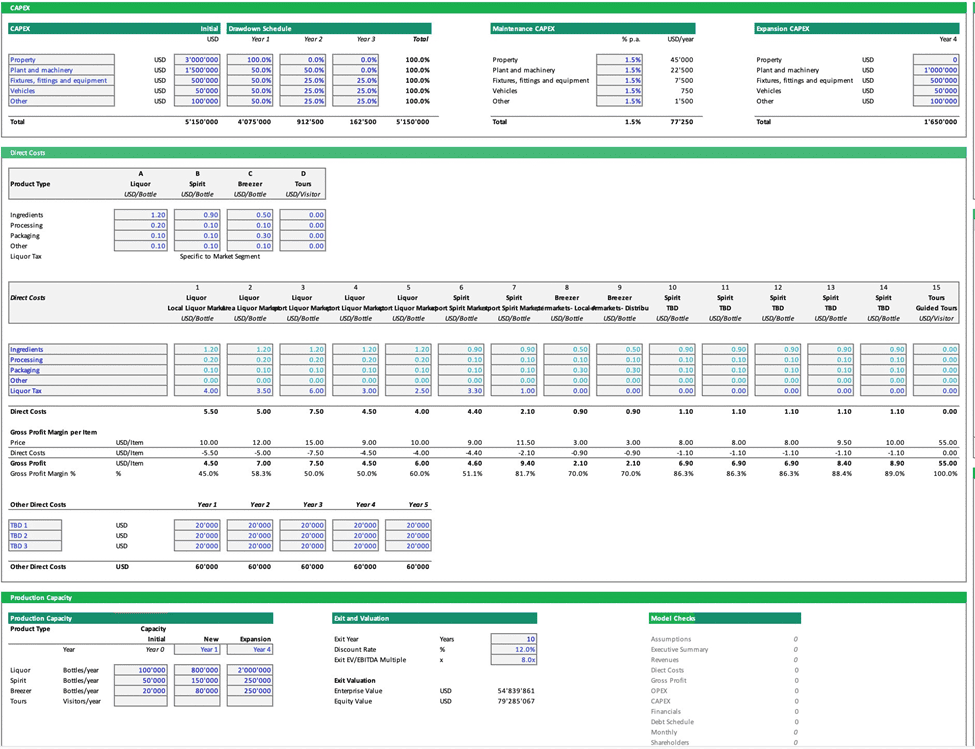 Comprehensive Financial Model Template Overview | eFinancialModels Financial model with CAPEX, direct costs, and exit valuation sections in Excel.