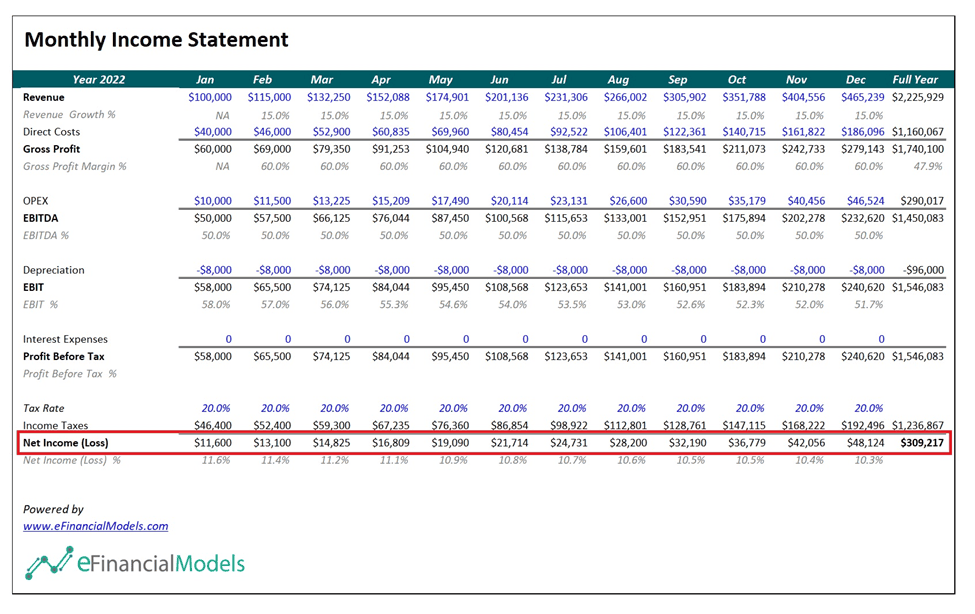 Monthly Income Statement Overview for 2022 | eFinancialModels Monthly income statement detailing revenue and expenses for 2022. Highlighted net income totals 9,217.