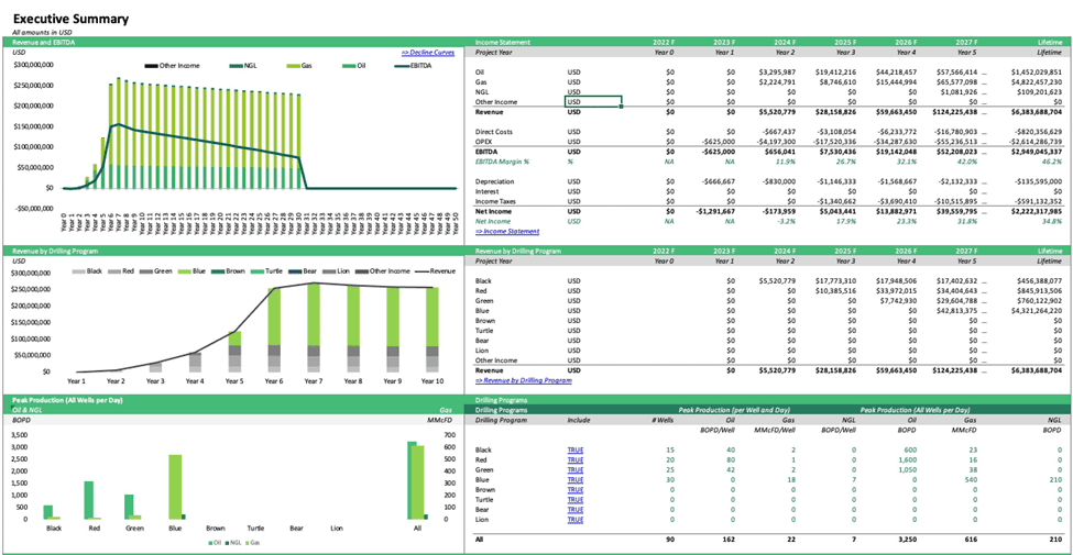 Executive Summary Financial Projections Overview | eFinancialModels Executive summary showing income statement and revenue projections in USD.
