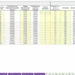 Acquisition schedule detailing purchase prices, renovation costs, and financing options.