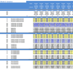 DCF model showing fees and revenue projections for various sectors in BNPL.