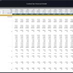 P&L summary showing revenue, expenses, and budget for a cocktail bar by month.
