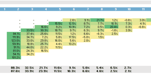 Cohort Analysis | Store Vintage Analysis | Same Store Sales Analysis
