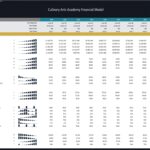 Financial ratios table for Culinary Arts Academy showing income statement metrics and performance indicators.