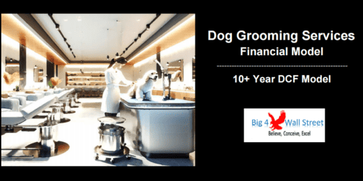 Discounted cash flow model for dog grooming business analysis