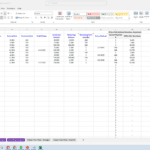 Loan portfolio analysis with details on loan ID, amounts, and interest rates.