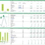 Crane Rental Financial Model Overview | eFinancialModels Financial model showing CAPEX, debt service, and key financial ratios for a crane rental business.