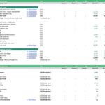 Annual financial summary chart detailing direct costs and operating expenses for kayak rental.