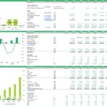 Crane Truck Rental Company Financial Model Overview | eFinancialModels Financial model displaying CAPEX, debt service coverage, and bank ratios for a crane rental business.