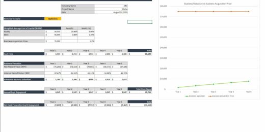 Business Valuation Spreadsheet
