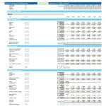 Annual financial statements template displaying Profit & Loss, Balance Sheet, and Cashflow metrics.