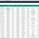 Employee data template showing demographics, roles, and hiring information for HR analysis.