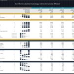 Table displaying financial ratios including ROE, ROA, margin metrics, and liquidity ratios for investment analysis in an aesthetics and dermatology clinic.