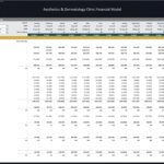 Monthly budget model showing income, expenses, and net income for an aesthetics clinic.