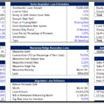 Financial model of a multi-family property with acquisition and lease-up information.