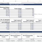 Marketing budget allocation and customer projection data in Excel format