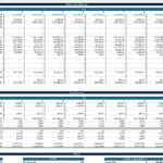 LBO Cash Flow Statement and Capital Structure Overview | eFinancialModels LBO cash flow statement showcasing projected revenues and capital structure analysis.