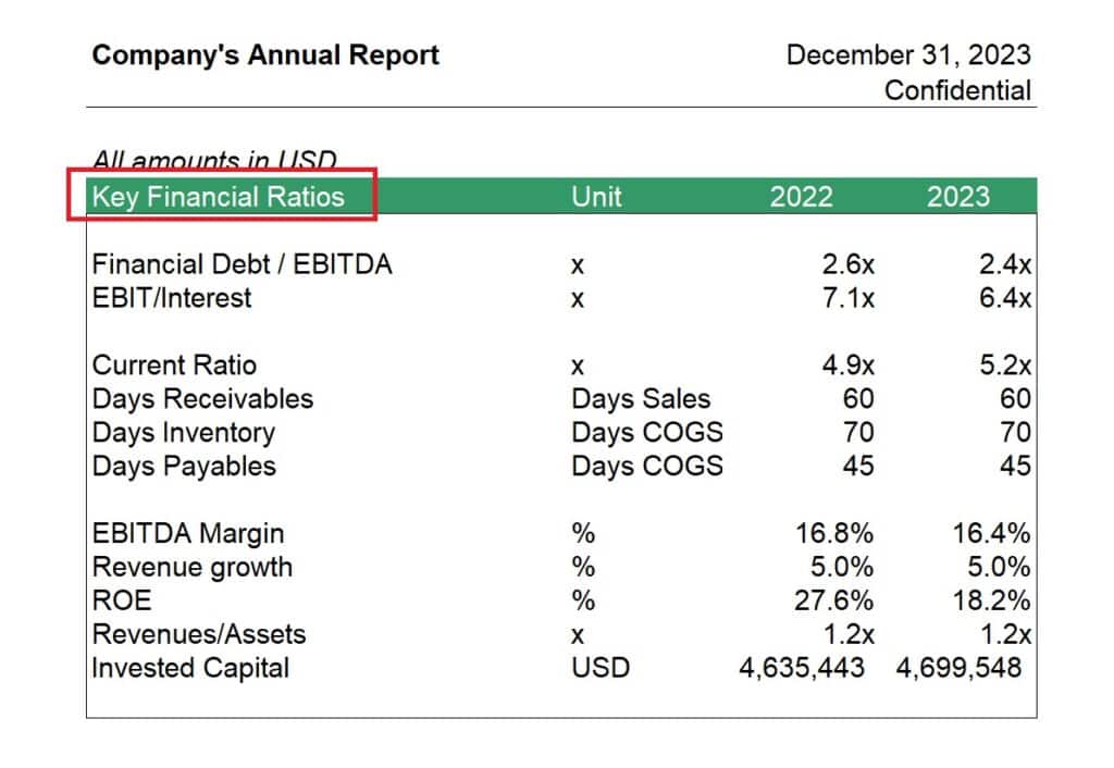 Key Financial Ratios Comparison 2022 vs 2023 | eFinancialModels 8- Financial Ratios Sample