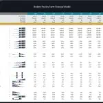 Financial ratios for broilers poultry farm model across ten years.