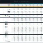 Financial model showcasing KPIs for broilers poultry farm operations