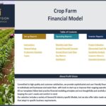 Table of contents for the Crop Farm Financial Model, detailing reports and instructions.