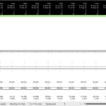 Debt & Equity Financing Schedule Overview | eFinancialModels Detailed debt and equity schedule with repayment dates and amounts.