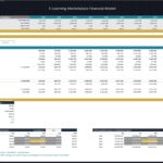 Financial model template for e-learning marketplace with valuation metrics.