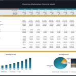 Detailed Direct Cash Flow statement for e-learning marketplace, covering multiple years and cash flow activities.