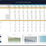 Financial model displaying Orchard Farm’s KPIs and financial ratios over ten years.
