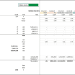 Shareholder cash flows and blended IRR metrics in a financial valuation model.