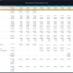 Annual cash flow summary with revenue, expenses, and cash returns for a real estate PE fund.