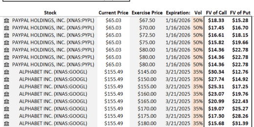 Equity Options Fair Value Calculator (Black-Scholes)