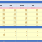 Salary matrix showing monthly pay scales and allowances by job level.