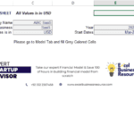 SaaS model input sheet for company and financial data entry.