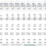 Detailed revenue breakdown chart for subscription services over multiple months.