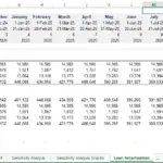 Monthly loan amortization details including payments, interest, and balances.