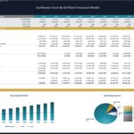 Direct cash flow statement showing annual receipts, costs, and financing for a sunflower farm.