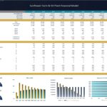 Financial model showing key metrics and ratios for sunflower farm operations.