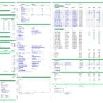 Detailed financial assumptions for a tequila distillery model, including market segments and capital structure.