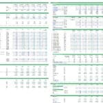 Financial model for liquor distillery including costs, revenues, and capacity planning.
