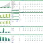 Financial model showcasing cash flows, debt ratios, and CAPEX for distillery planning.