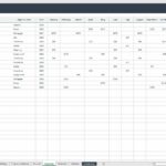 Spreadsheet displaying monthly expenses for various properties from 2023 to 2025.