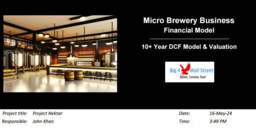 Financial model layout for microbrewery business with project title and valuation insights.