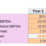Financial assumptions table detailing EBITDA, volatility, and risk metrics.