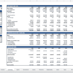 Detailed financial summary with cash flows, assumptions, and projections for a startup.