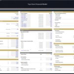 Toys Store Financial Model Assumptions Overview | eFinancialModels Overview of assumptions for Toys Store financial model, detailing startup costs and revenue projections.