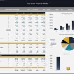 Toys Store Financial Model Executive Summary | eFinancialModels Financial summary including revenue, profit metrics, and visual data charts.