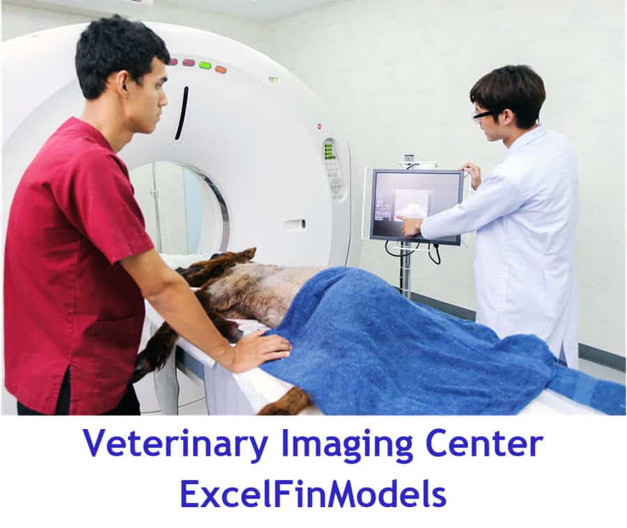 Veterinary Imaging Center Monthly 5-Year 3-Statement Financial Forecast Model