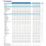 ABXYZ Diagnostic Collection Center PL Statement Overview | eFinancialModels Profit and Loss statement displaying financial performance metrics for a diagnostic center.