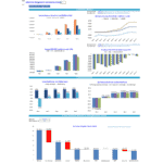 Diagnostic Center Profitability Metrics Overview | eFinancialModels Yearly and monthly profitability metrics and ratios for a diagnostic collection center.